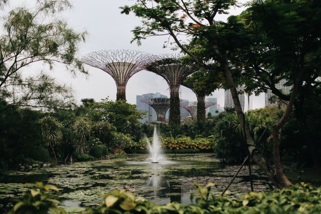 Stunning view of Supertree Grove with lush greenery and a tranquil pond in Singapore's Gardens by the Bay.